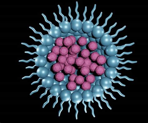 Microscopio che mostra le micelle in soluzione acquosa