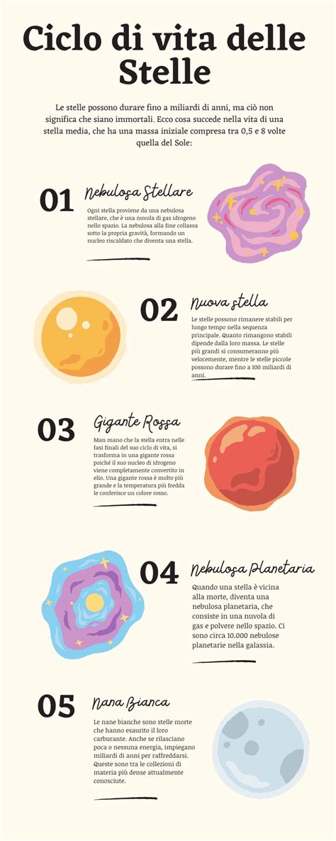 Diagramma del ciclo di vita di Helicobacter pylori