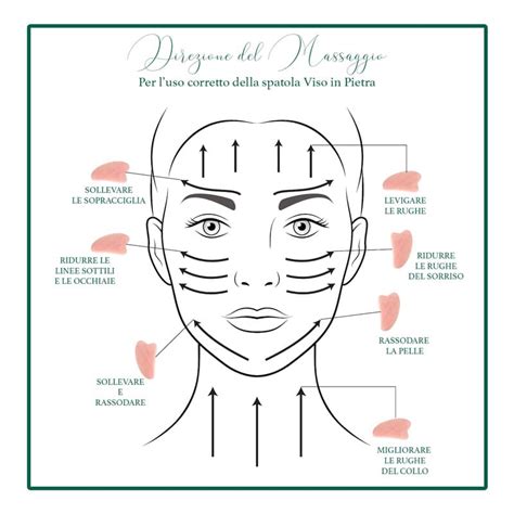 Illustrazione che mostra come utilizzare un Gua Sha sul viso