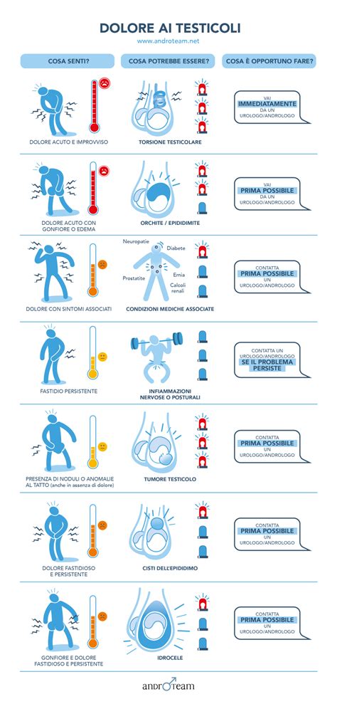 Infografica che illustra le diverse cause di dolore testicolare