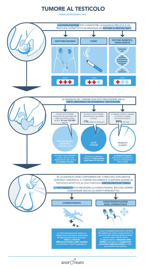Infografica sull'autopalpazione testicolare