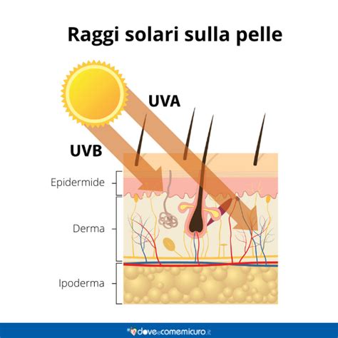 Diagramma che illustra il danno dei raggi UV sulla pelle