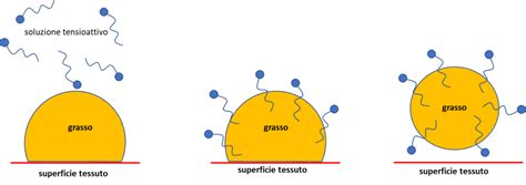 Schema molecolare di un tensioattivo