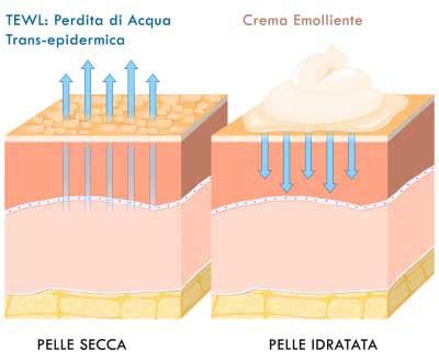 Diagramma a blocchi: meccanismo d'azione degli umettanti, emollienti e occlusivi sulla pelle