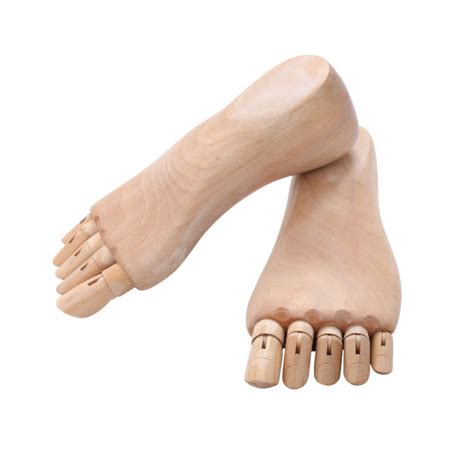 Dettaglio di un modello anatomico in cera