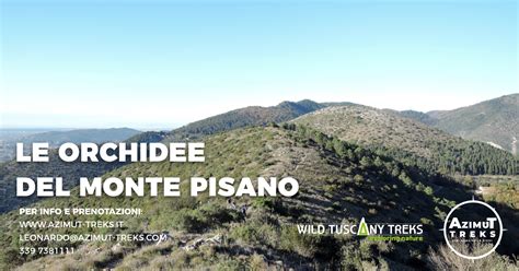 Fotografia d'epoca del Monte Pisano con ruderi