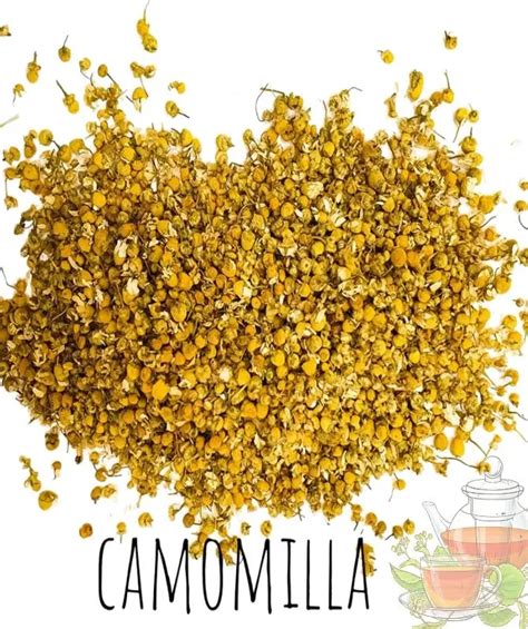 Fiori di camomilla secchi