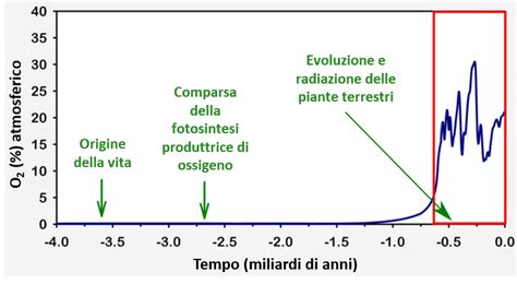 Grafico che mostra l'aumento del rischio di melanoma con l'uso di lettini abbronzanti