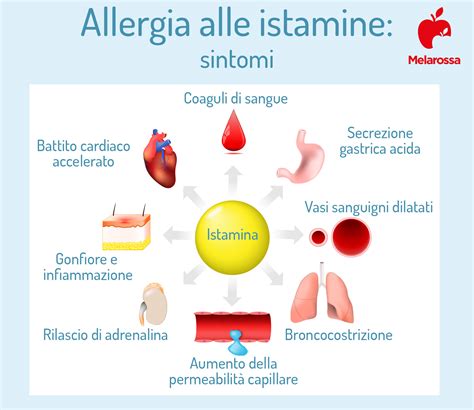 Schema che illustra l'azione dell'avena sul rilascio di istamina