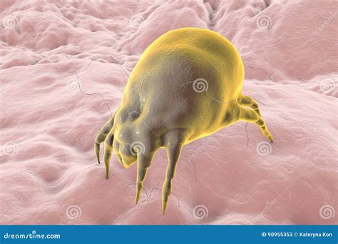 Illustrazione di un acaro della polvere.