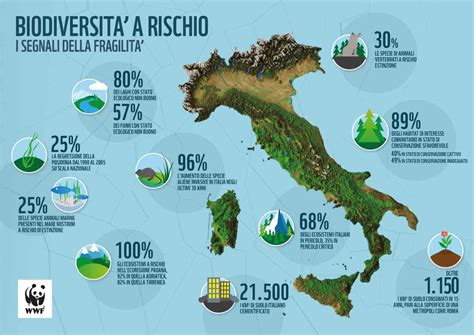 Grafico che mostra l'aumento del rischio di melanoma con il numero di scottature solari
