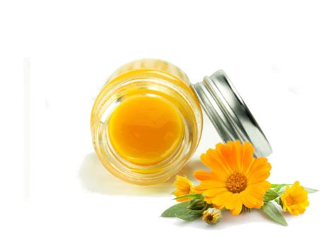 Fiori di calendula e un vasetto di pomata alla calendula