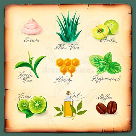 Illustrazione di ingredienti naturali per scrub ayurvedici