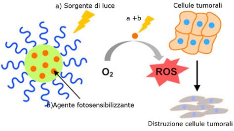 Schema che illustra il meccanismo d'azione della Terapia Fotodinamica (PDT)