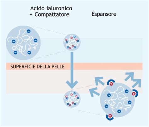 Schema molecolare dell'acido ialuronico con diverse dimensioni delle molecole
