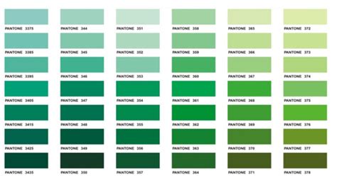Schema di neutralizzazione del colore con pigmenti verdi