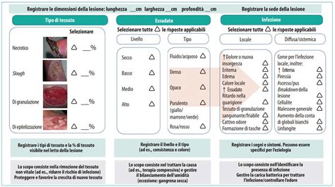 Diagramma che illustra la localizzazione e l'aspetto delle diverse tipologie di verruche