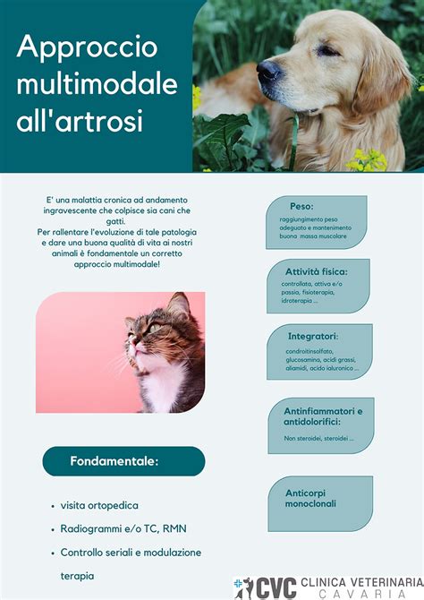 Schema che illustra le diverse opzioni terapeutiche per la linfoadenopatia