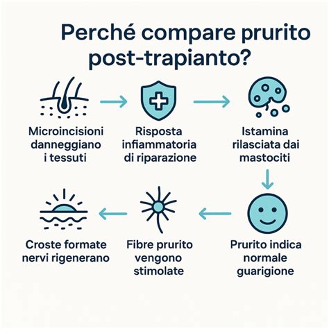 Schema che illustra i diversi tipi di prurito e le loro cause