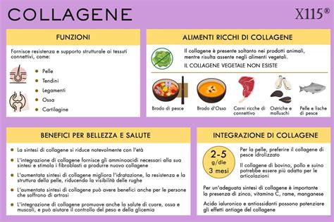 Infografica sui benefici del collagene per la pelle