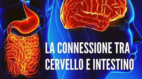 Connessione tra intestino e pelle