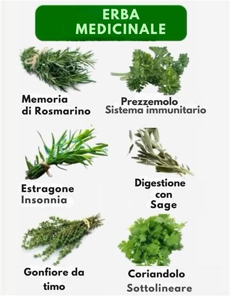 Erbe medicinali e oli naturali benefici per la pelle