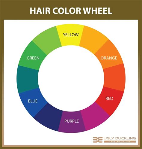 Color correcting wheel showing green to neutralize red