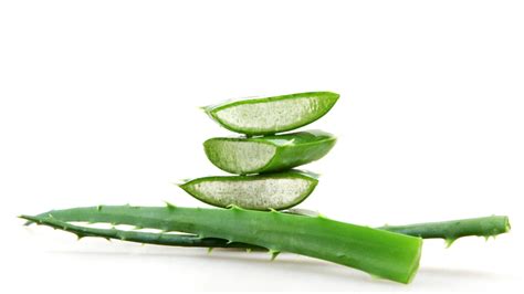 Illustrazione delle proprietà lenitive del Licochalcone A