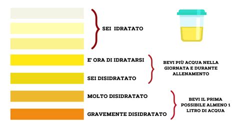 Scala colore urina per idratazione