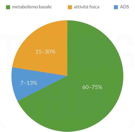 Grafico fabbisogno idrico in base attività fisica
