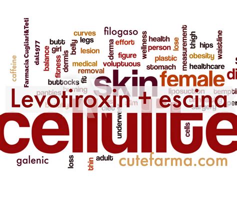 Diagramma che illustra l'azione della levotiroxina e dell'escina sulla cellulite