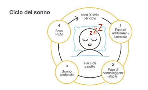 illustrazione del ciclo sonno-veglia della pelle