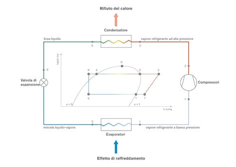 Diagramma che illustra la differenza tra punto nero e filamento sebaceo