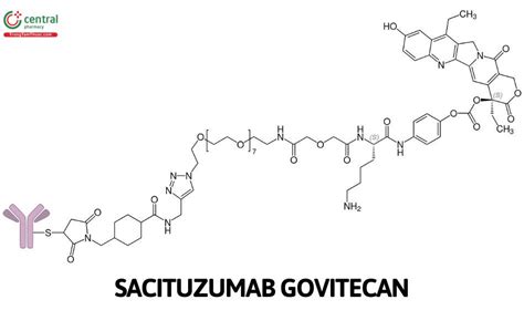 Struttura molecolare del Sacituzumab Govitecan