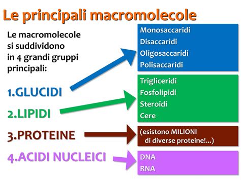 Immagine che mostra le molecole di diversi acidi utilizzati nei peeling chimici.