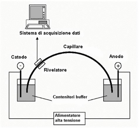Immagine di uno strumento di elettroforesi capillare moderno