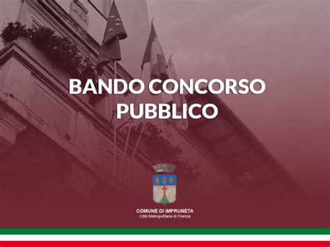 Infografica che illustra le fasi di un bando di concorso pubblico