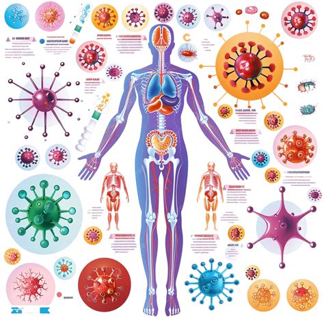 Diagramma del sistema immunitario e psoriasi