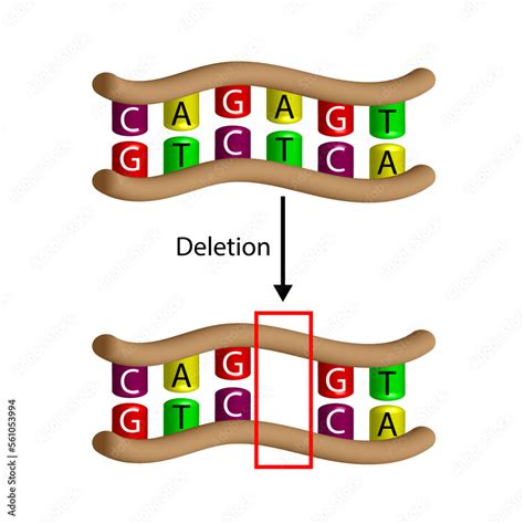 Diagram showing gene deletion and its effect on skin barrier