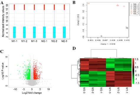 Microarray data visualization
