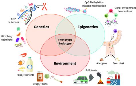Infographic showing interplay of genetics, environment, and immune system in psoriasis