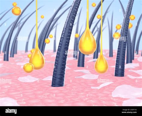 Immagine stilizzata di un cuoio capelluto con gocce d'olio