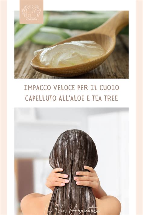 Illustrazione schematica dei benefici dell'Aloe Vera sul cuoio capelluto