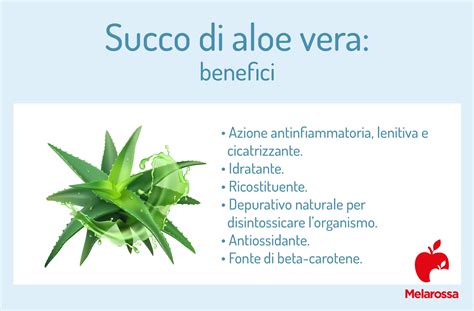 Immagine che mostra la combinazione di Aloe Vera con oli naturali