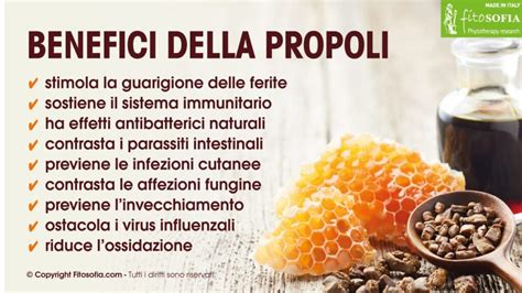 Immagine della propoli e dei suoi componenti