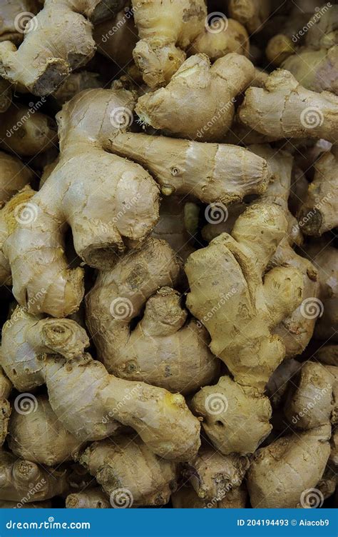 Immagine del rizoma di zenzero