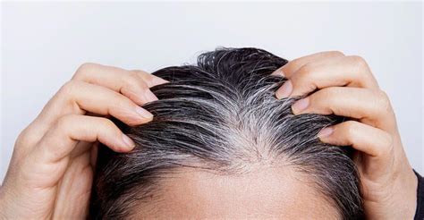 Primo piano di capelli grigi e bianchi