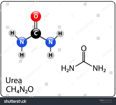 struttura molecolare dell'urea