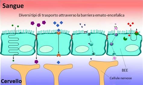 Grafico che confronta l'efficacia degli antistaminici di prima e seconda generazione nel controllo del prurito