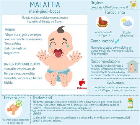 Infografica sulle buone pratiche igieniche per prevenire la diffusione della malattia mani-piedi-bocca